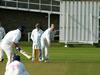 &copy; Ponteland Cricket Club
